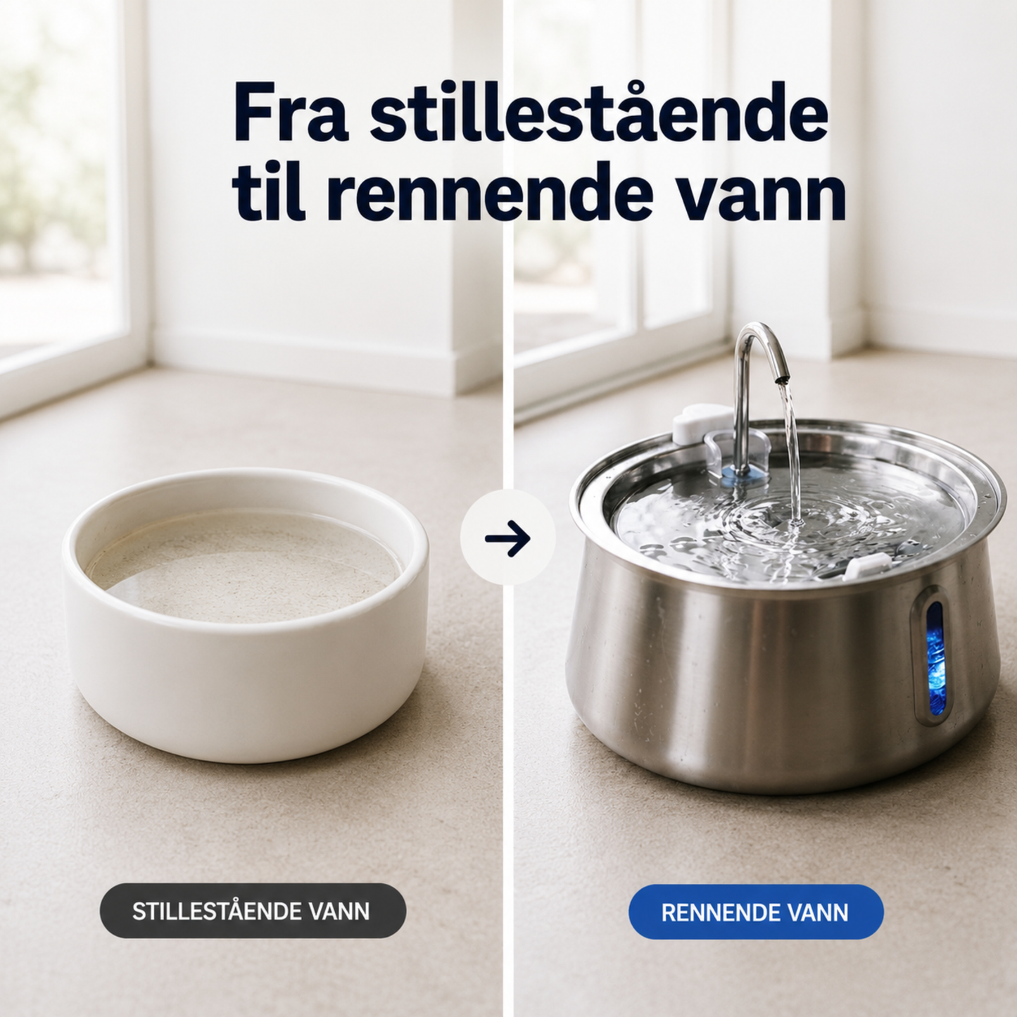 Automatisk Hundefontene