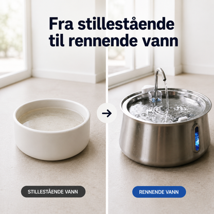 Automatisk Hundefontene