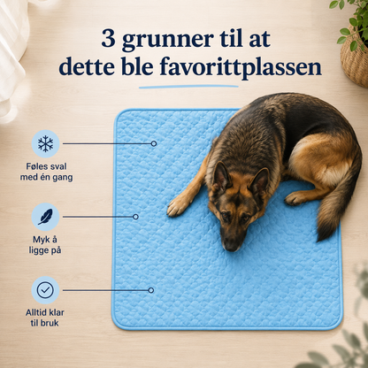 Kjølematte